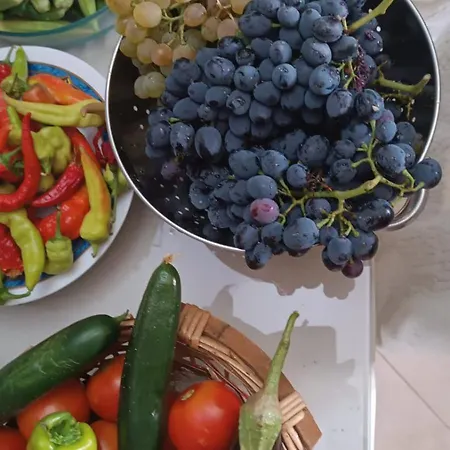 Alojamento de Acomodação e Pequeno-almoço Kappa House