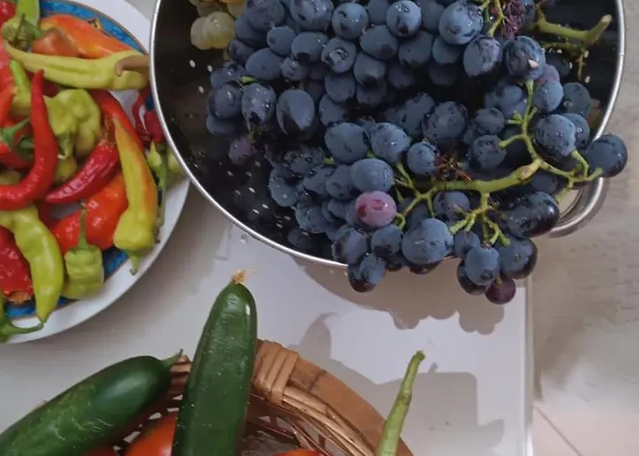 Maison d'hôtes Kappa